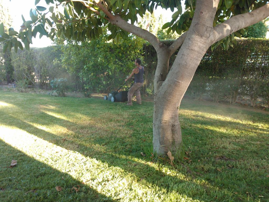 タヴィラ Quinta Da Moura Casa-De-Campoゲストハウス エクステリア 写真