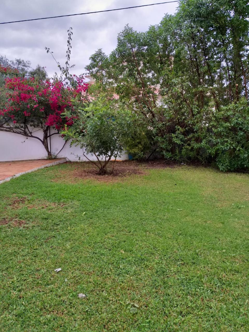 タヴィラ Quinta Da Moura Casa-De-Campoゲストハウス エクステリア 写真