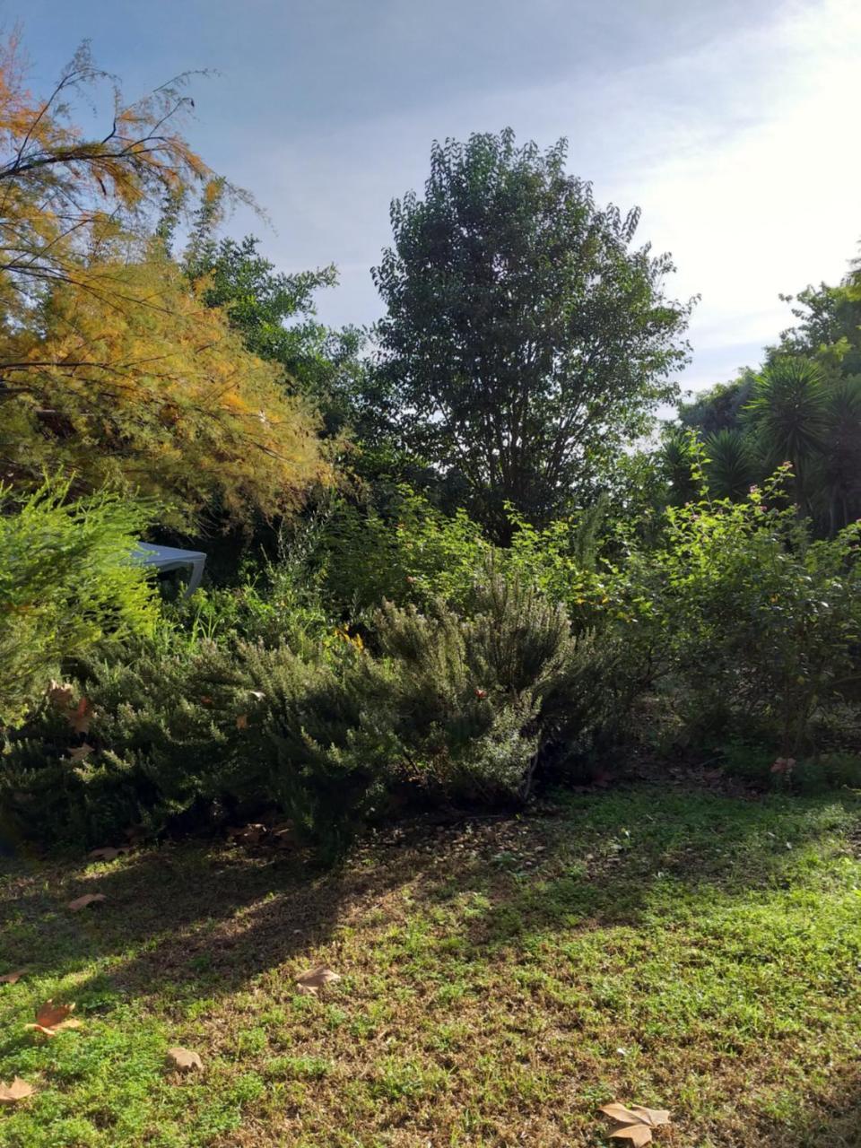 タヴィラ Quinta Da Moura Casa-De-Campoゲストハウス エクステリア 写真